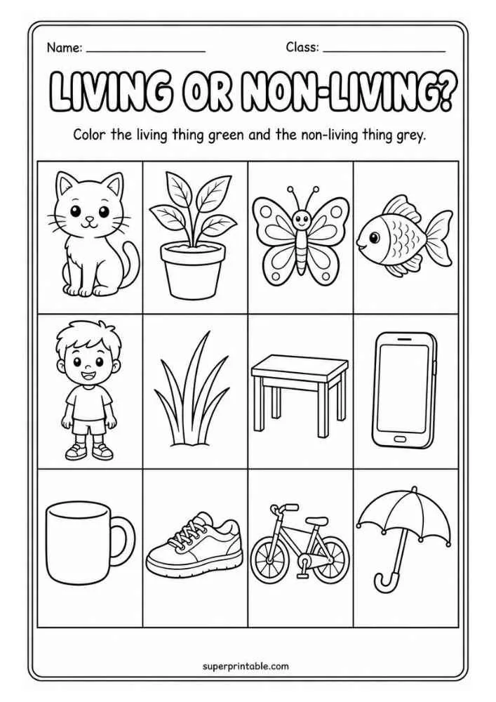 Living or Non Living worksheet with cat, plant, butterfly, fish, boy, grass, table, phone, mug, shoe, bicycle, and umbrella.