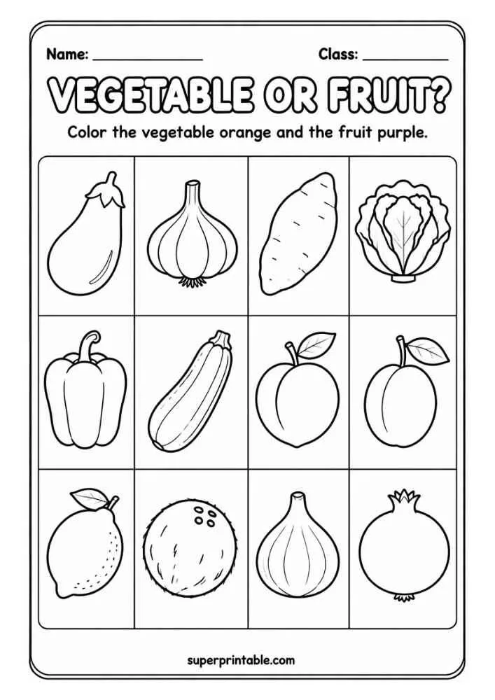 Vegetable or Fruit worksheet with eggplant, garlic, sweet potato, cabbage, pepper, zucchini, peach, plum, lemon, coconut, onion, and pomegranate.
