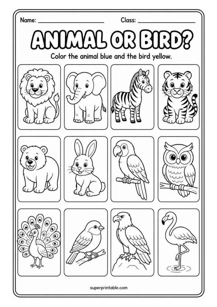 Animal or Bird worksheet with lion, elephant, zebra, tiger, bear, rabbit, parrot, owl, peacock, small bird, eagle, and flamingo.