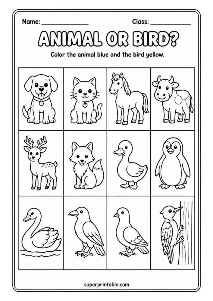 Animal or Bird worksheet with dog, cat, horse, cow, deer, fox, duck, penguin, swan, crow, pigeon, and woodpecker.