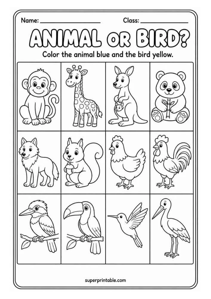 Animal or Bird worksheet with monkey, giraffe, kangaroo, panda, wolf, squirrel, hen, rooster, kingfisher, toucan, hummingbird, and stork.