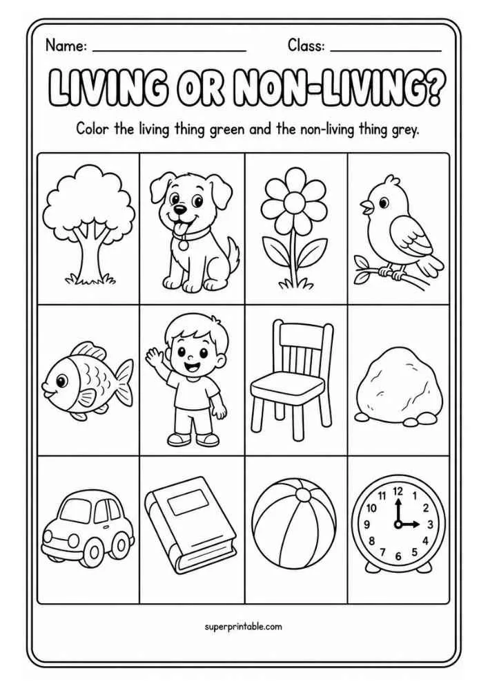 Living or Non Living worksheet with tree, dog, flower, bird, fish, child, chair, rock, car, book, ball, and clock.
