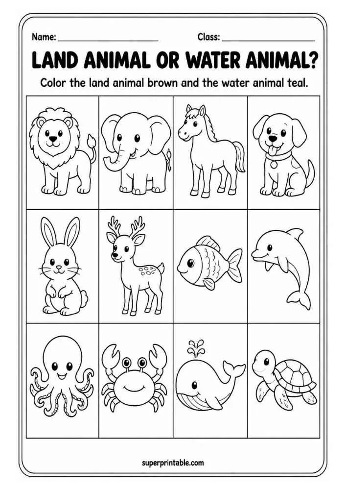 Land or Water Animal worksheet with lion, elephant, horse, dog, rabbit, deer, fish, dolphin, octopus, crab, whale, and turtle.