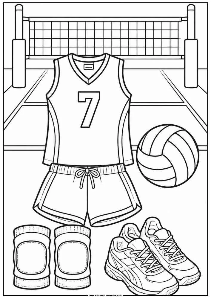 Volleyball jersey, shorts, knee pads, shoes, volleyball, and net.