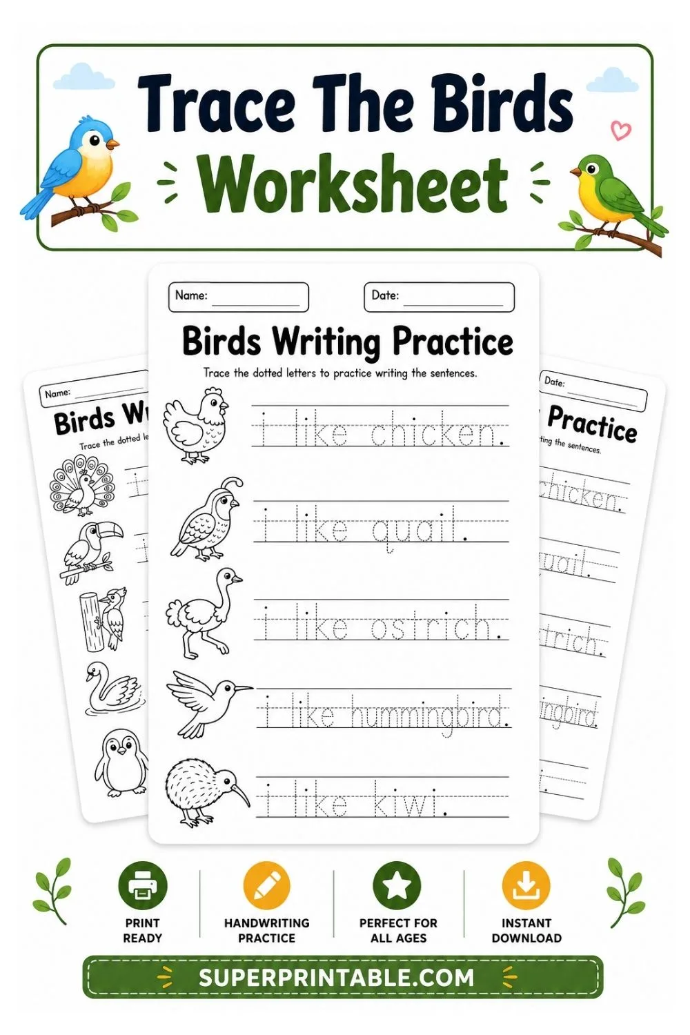 Trace The Birds Worksheet Pinterest Image