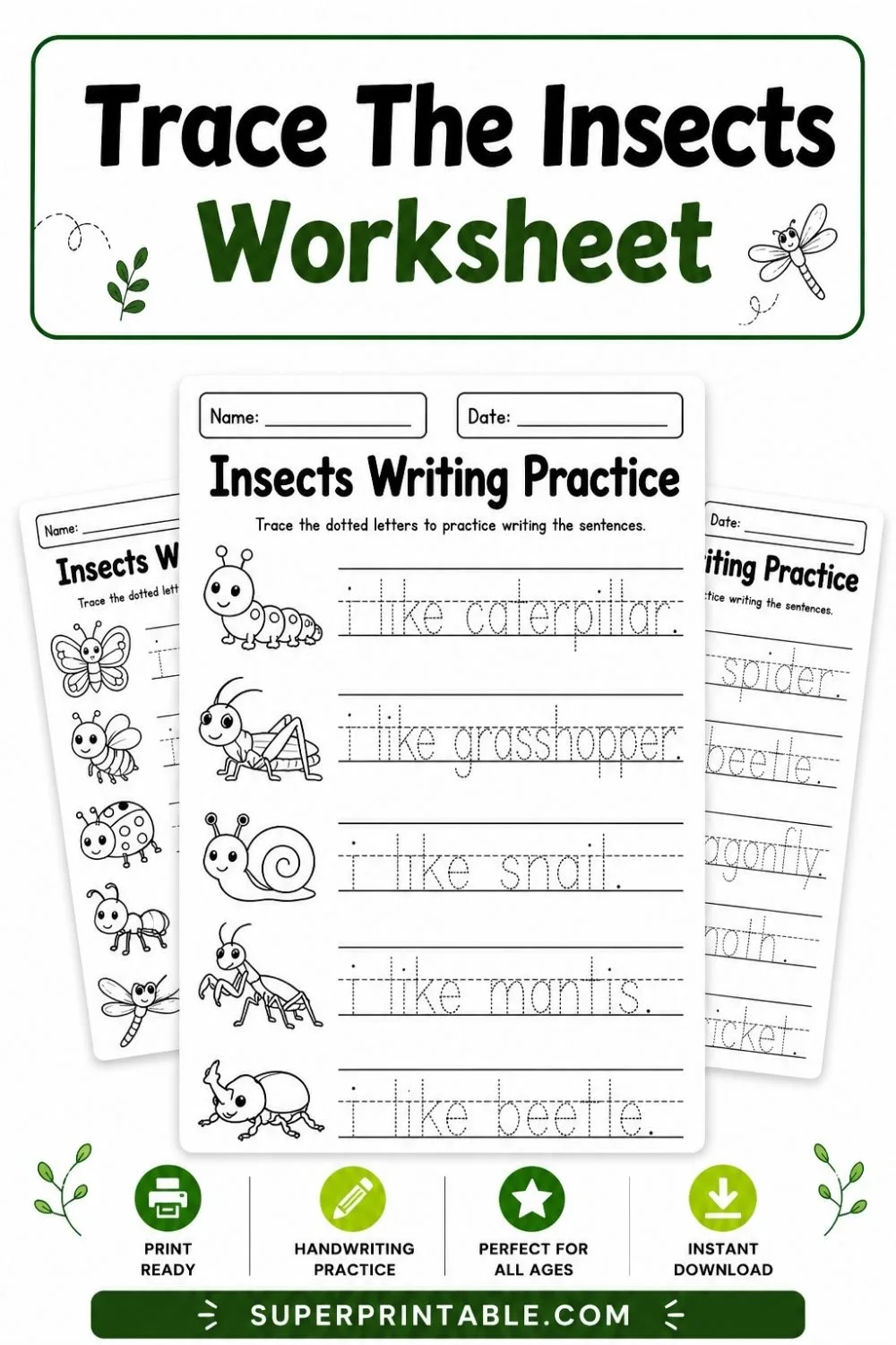 Trace The Insects Worksheet Pinterest Image