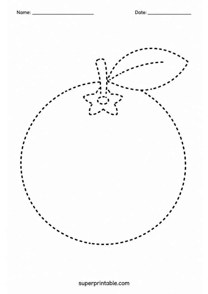 Dashed outline of a round orange with a leaf for tracing.