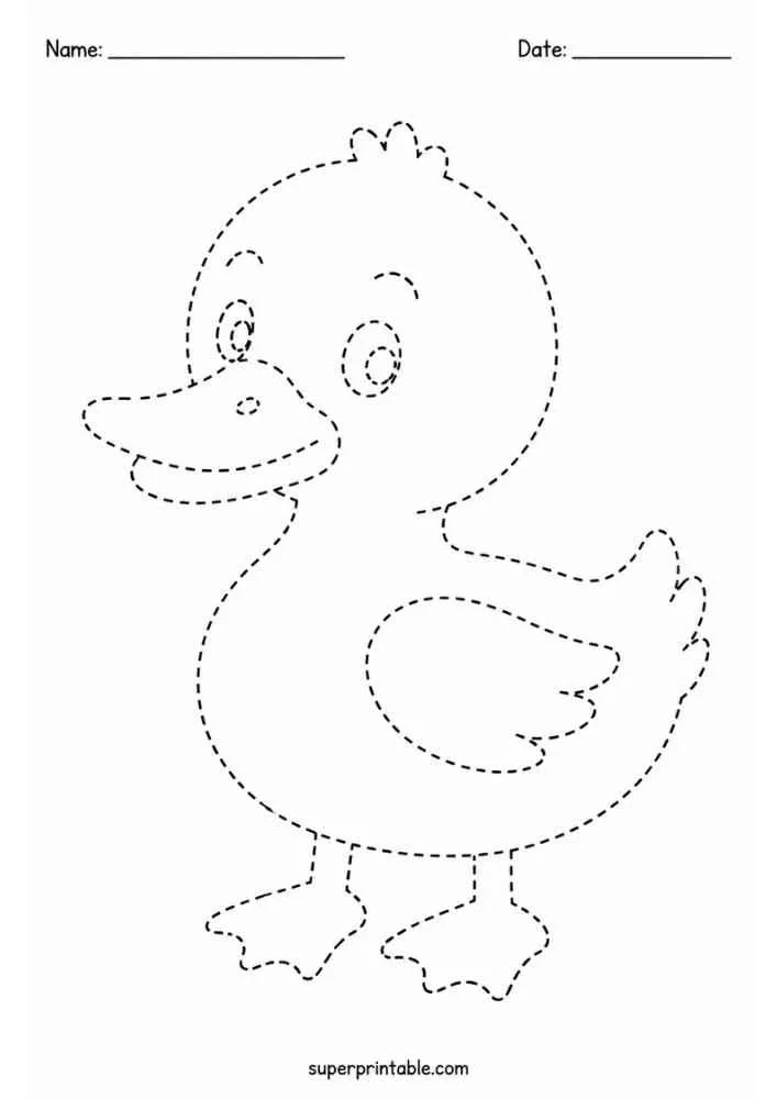 Dashed outline of a smiling duck for tracing.