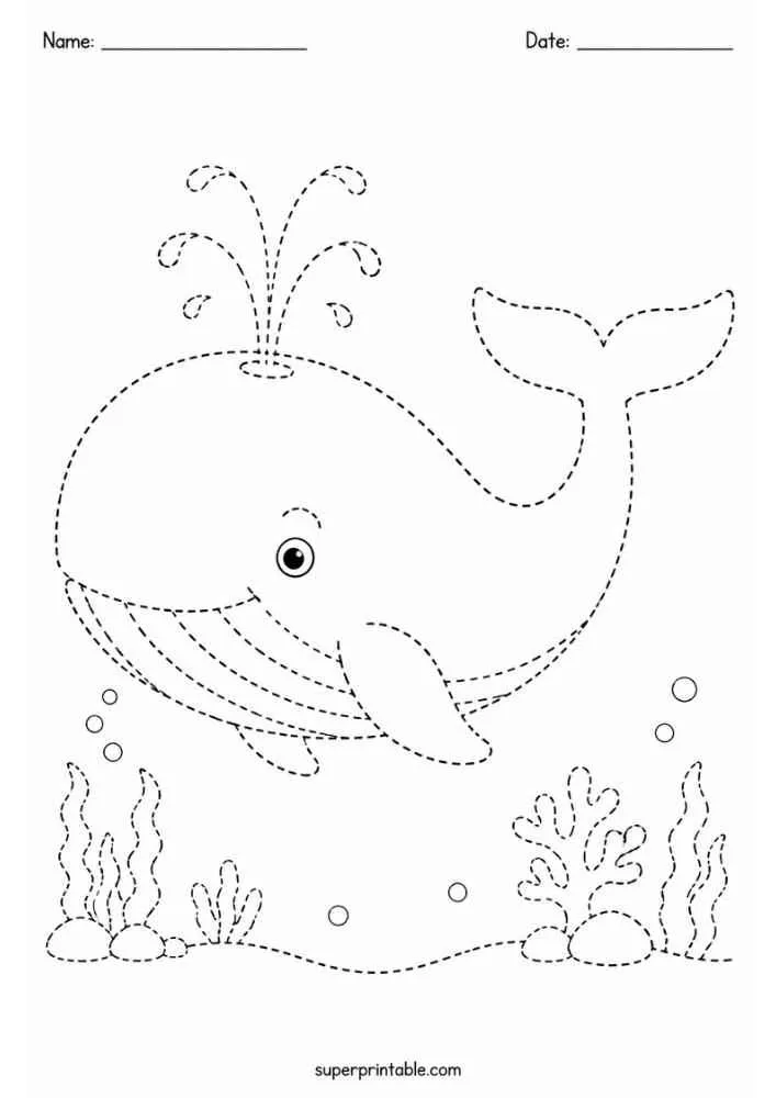 Dashed tracing worksheet with a smiling whale and water spray.