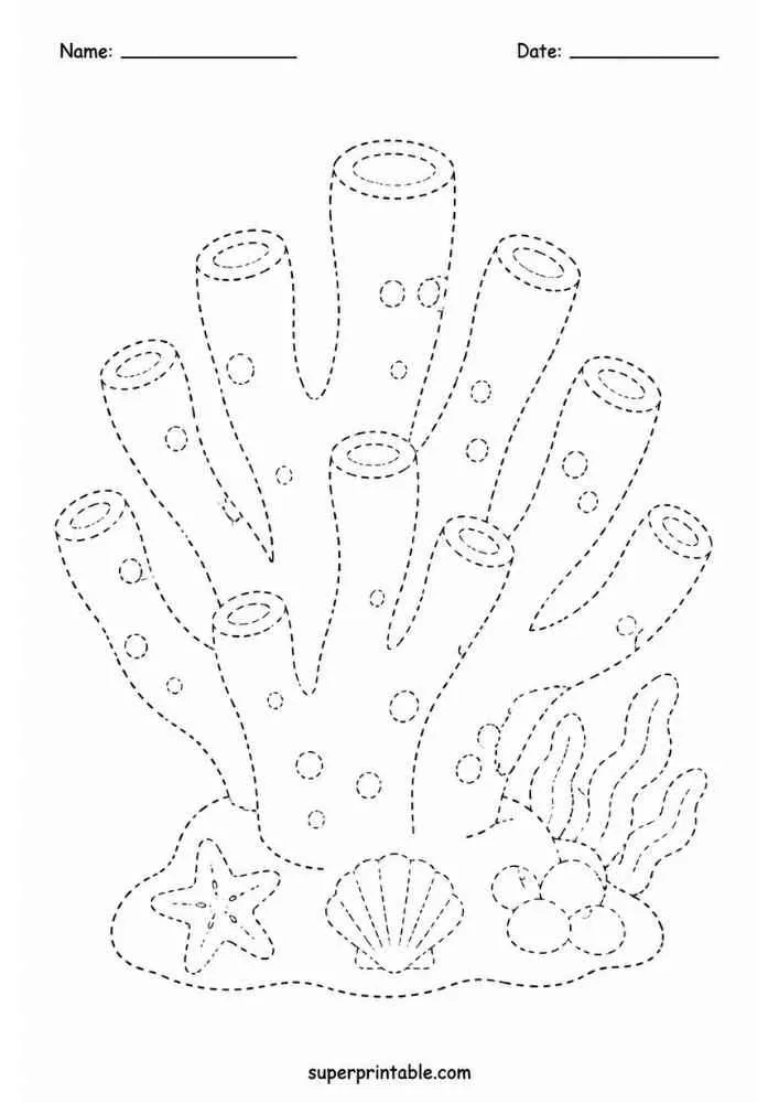 Dashed tracing worksheet with coral, shells, starfish, and seaweed.