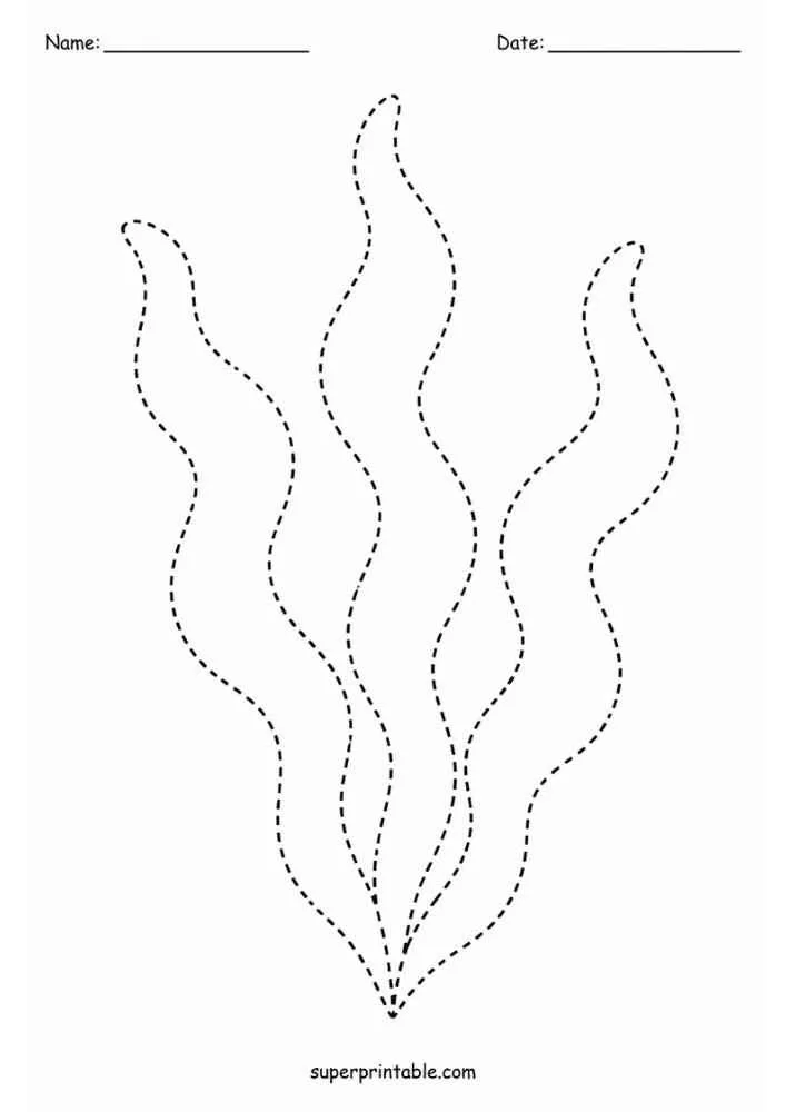 Dashed tracing worksheet with three tall seaweed plants.