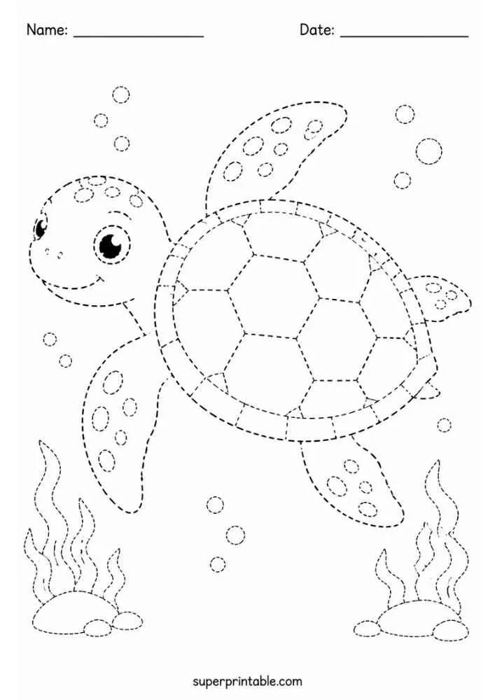 Dashed tracing worksheet with a sea turtle, bubbles, and sea plants.