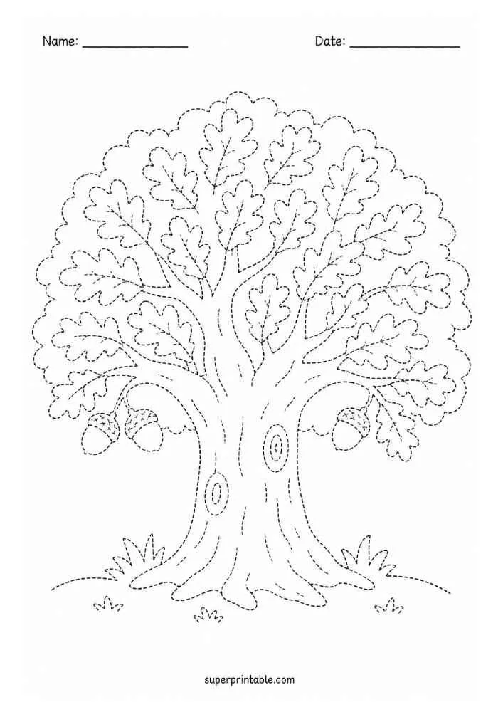 Dotted oak tree with acorns, rounded leaves, grass, and Name and Date lines.