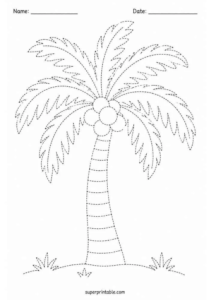 Dotted coconut palm tree with coconuts, grass, and Name and Date lines.