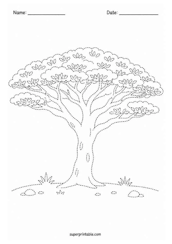 Dotted acacia tree with broad canopy, grass, rocks, and Name and Date lines.