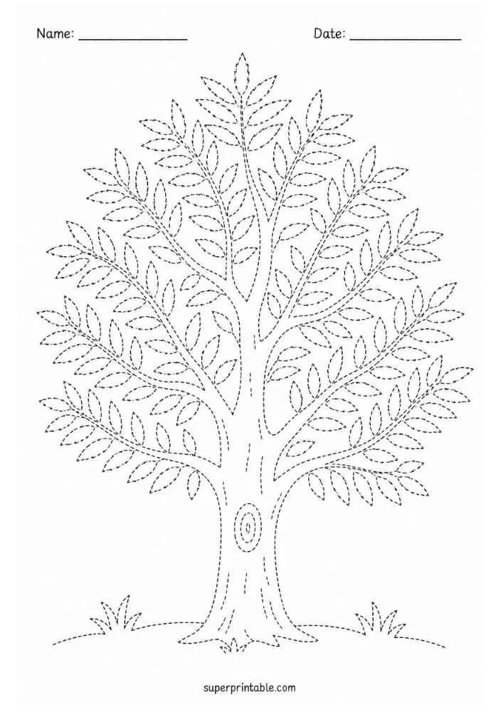 Dotted ash tree with many leaves, grass, and Name and Date lines.