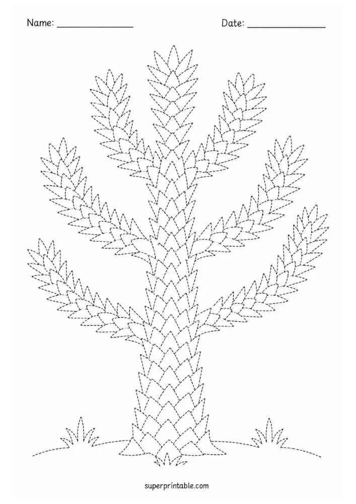 Dotted monkey puzzle tree with spiky branches, grass, and Name and Date lines.