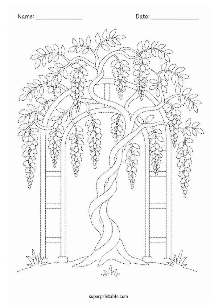 Dotted wisteria tree with hanging flowers, arbor, grass, and Name and Date lines.