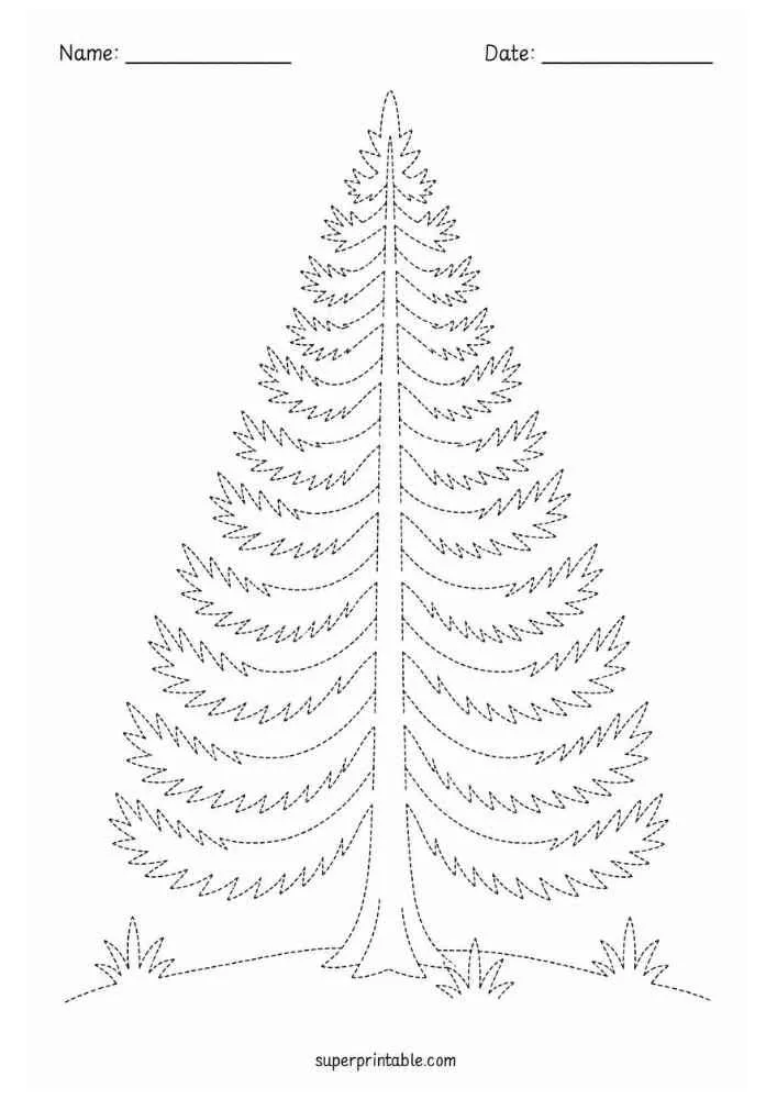 Dotted Douglas fir tree with layered branches, grass, and Name and Date lines.