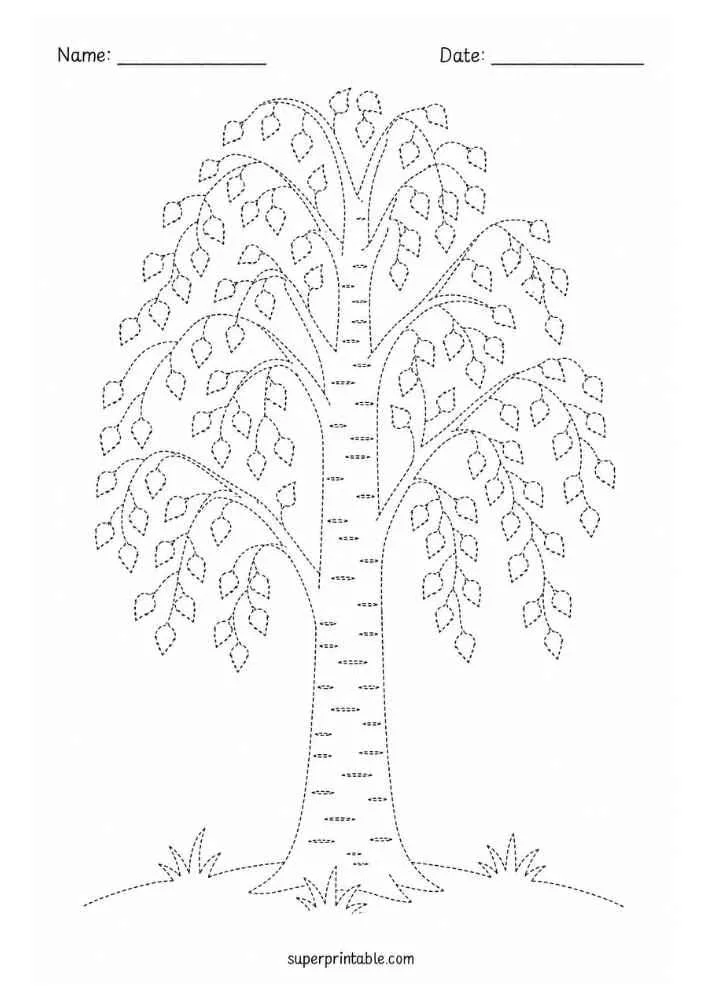 Dotted silver birch tree with hanging leaves, grass, and Name and Date lines.