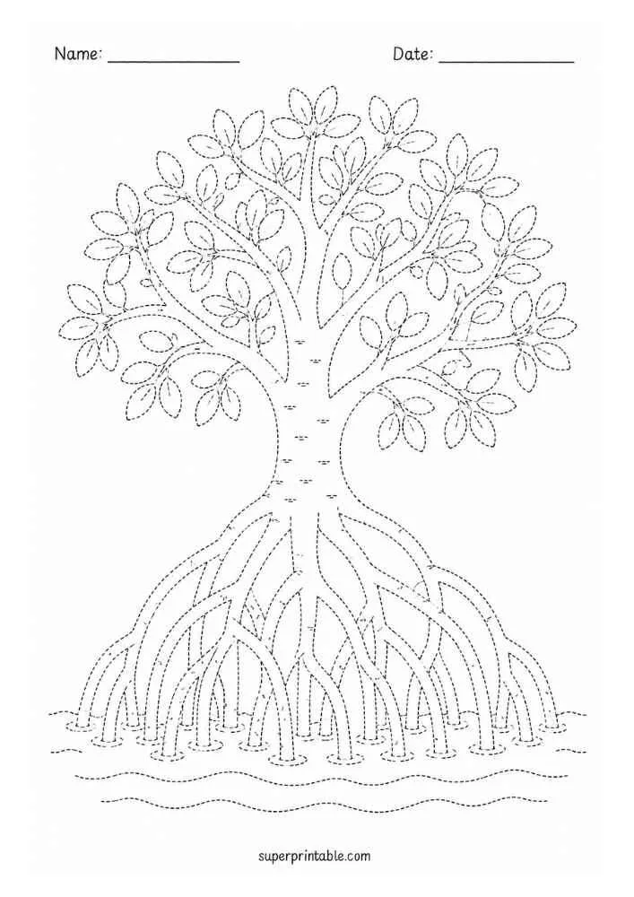 Dotted mangrove tree with exposed roots, water lines, and Name and Date lines.
