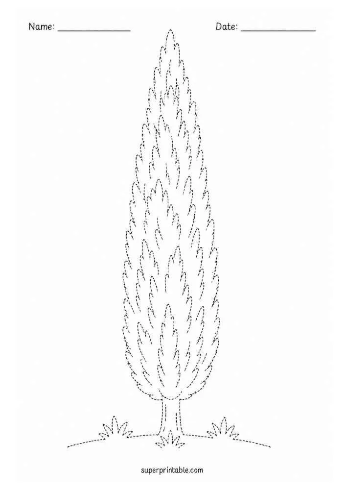 Dotted Italian cypress tree with grass and Name and Date lines.