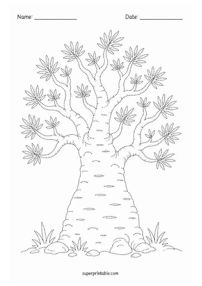 Dotted bottle tree with thick trunk, leafy branches, rocks, and Name and Date lines.