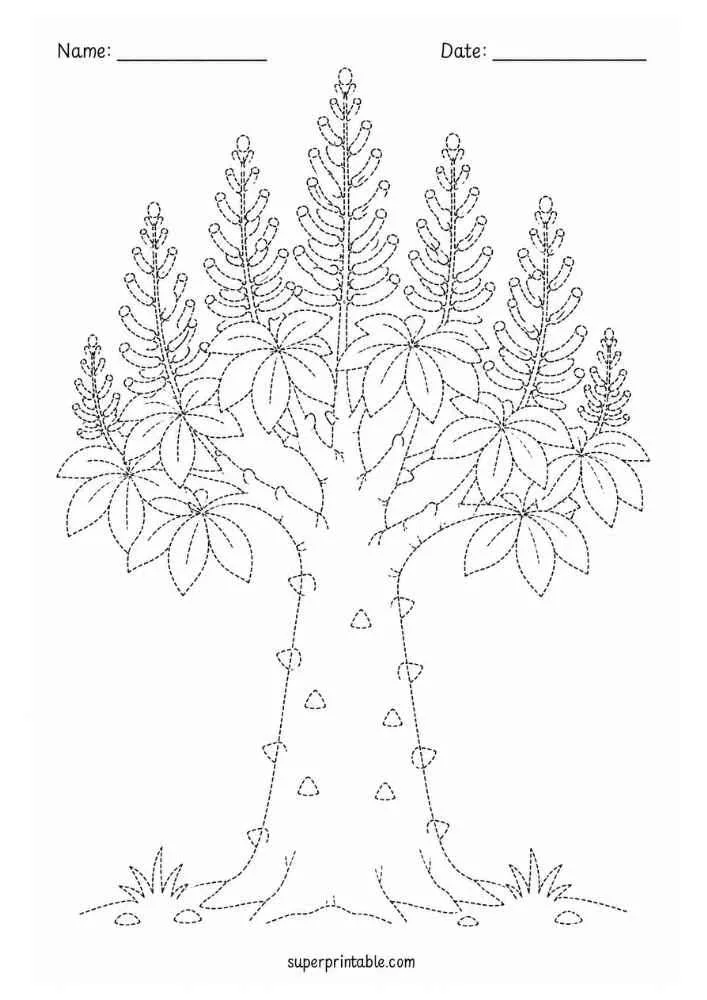 Dotted horse chestnut tree with large leaves, flower spikes, grass, and Name and Date lines.