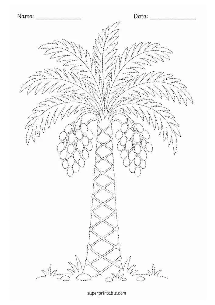 Dotted date palm tree with date clusters, grass, and Name and Date lines.