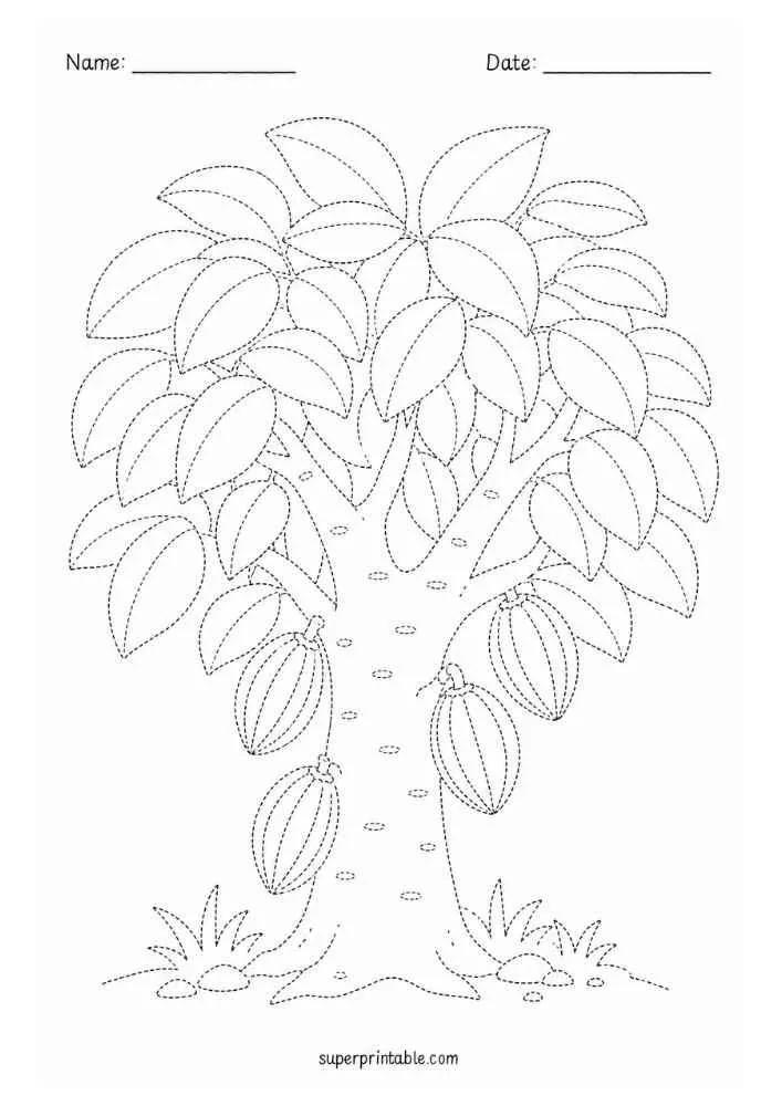 Dotted cacao tree with cacao pods, broad leaves, grass, and Name and Date lines.