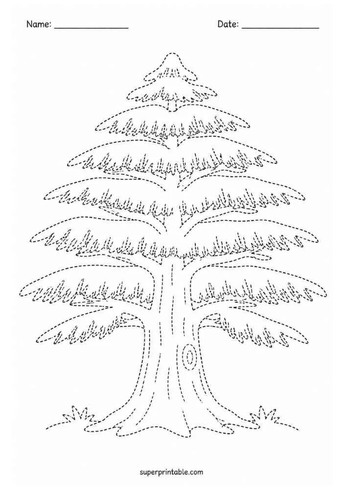 Dotted cedar tree with layered branches, grass, and Name and Date lines.