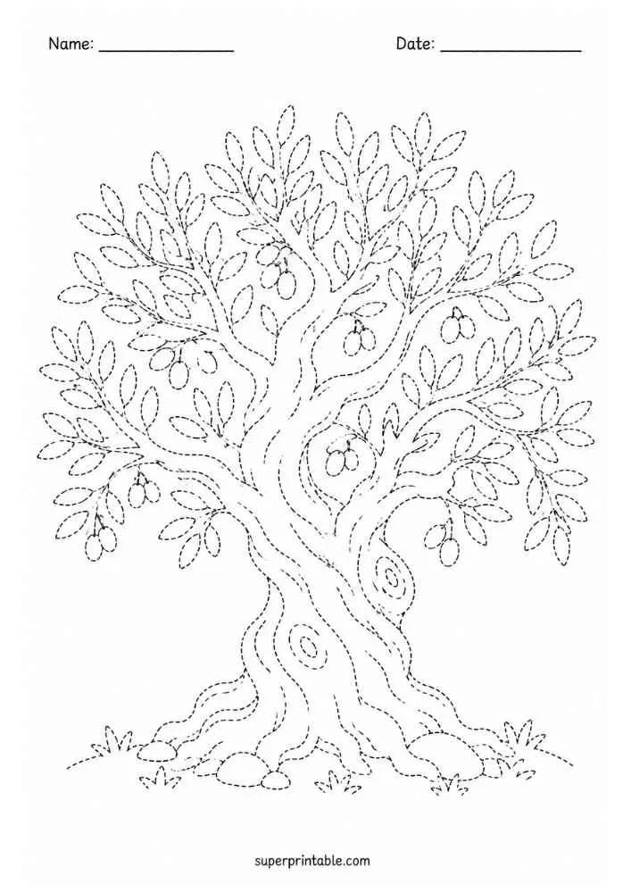 Dotted olive tree with olives, leaves, rocks, and Name and Date lines.