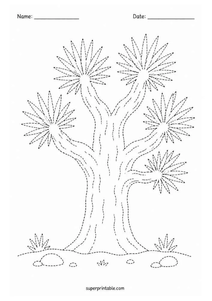 Dotted Joshua tree with spiky leaves, rocks, grass, and Name and Date lines.