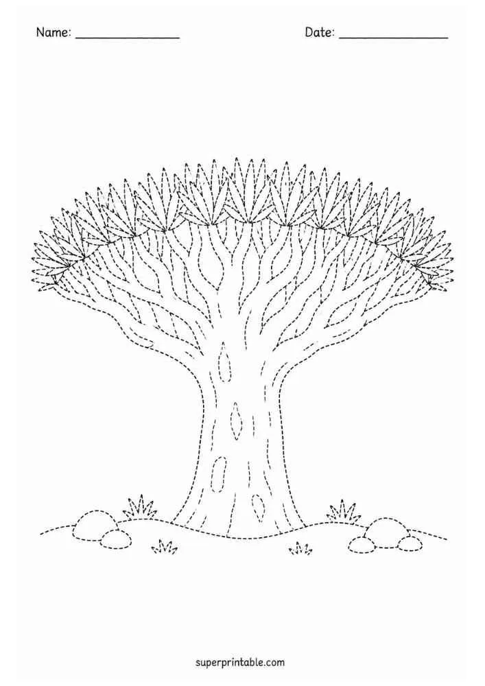 Dotted dragon blood tree with umbrella canopy, rocks, and Name and Date lines.