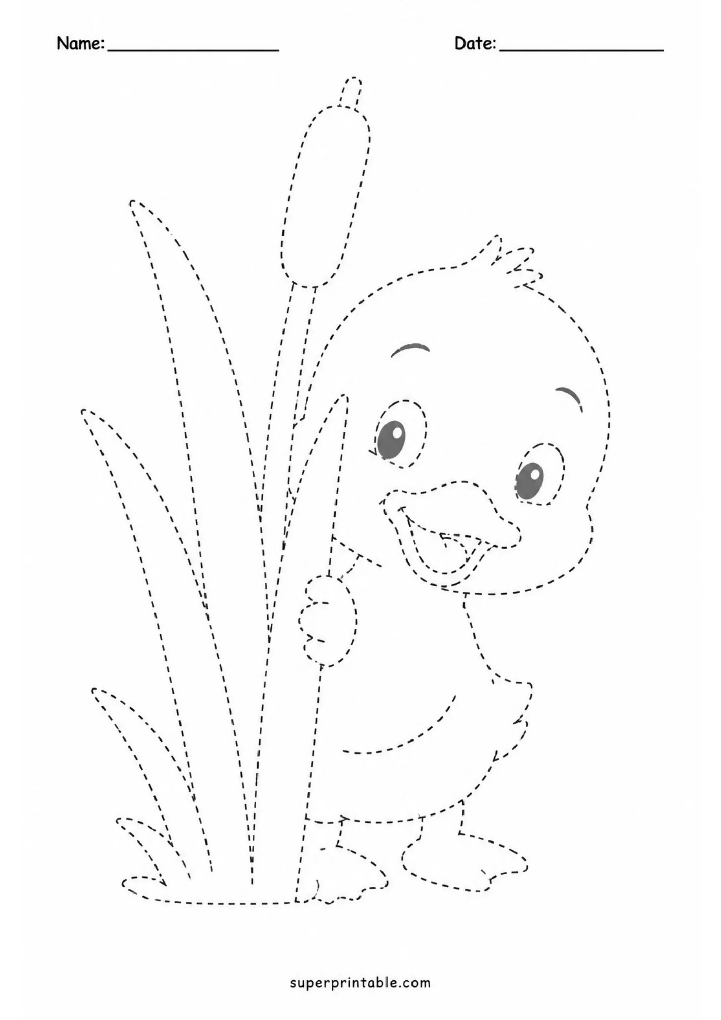 Black and white line art worksheet of a baby duckling peeking out from behind tall cattail pond reeds drawn in dashed outlines.