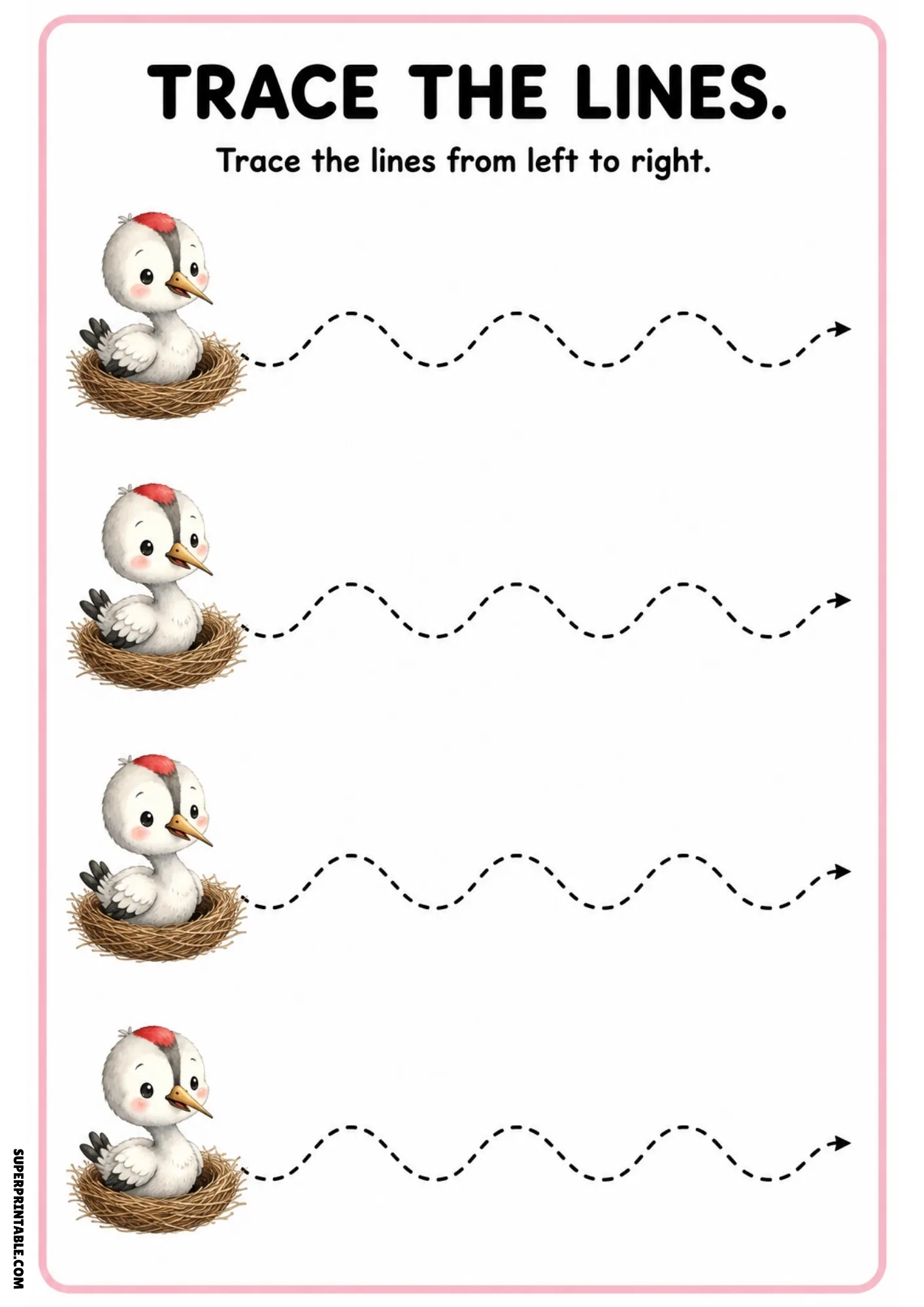 Baby stork line tracing worksheet with four chicks in nests leading to wavy dashed arrows.