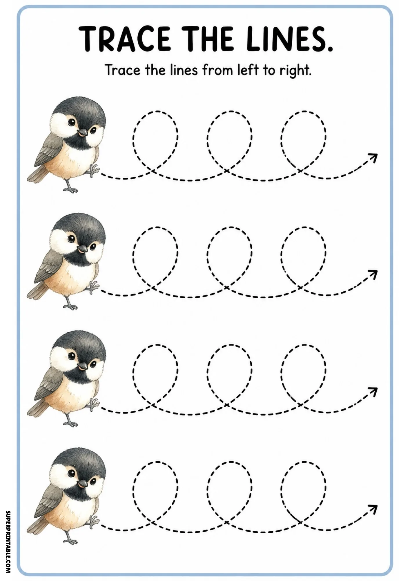 Black-capped chickadee line tracing activity page with looping spiral dashed lines ending in arrows.