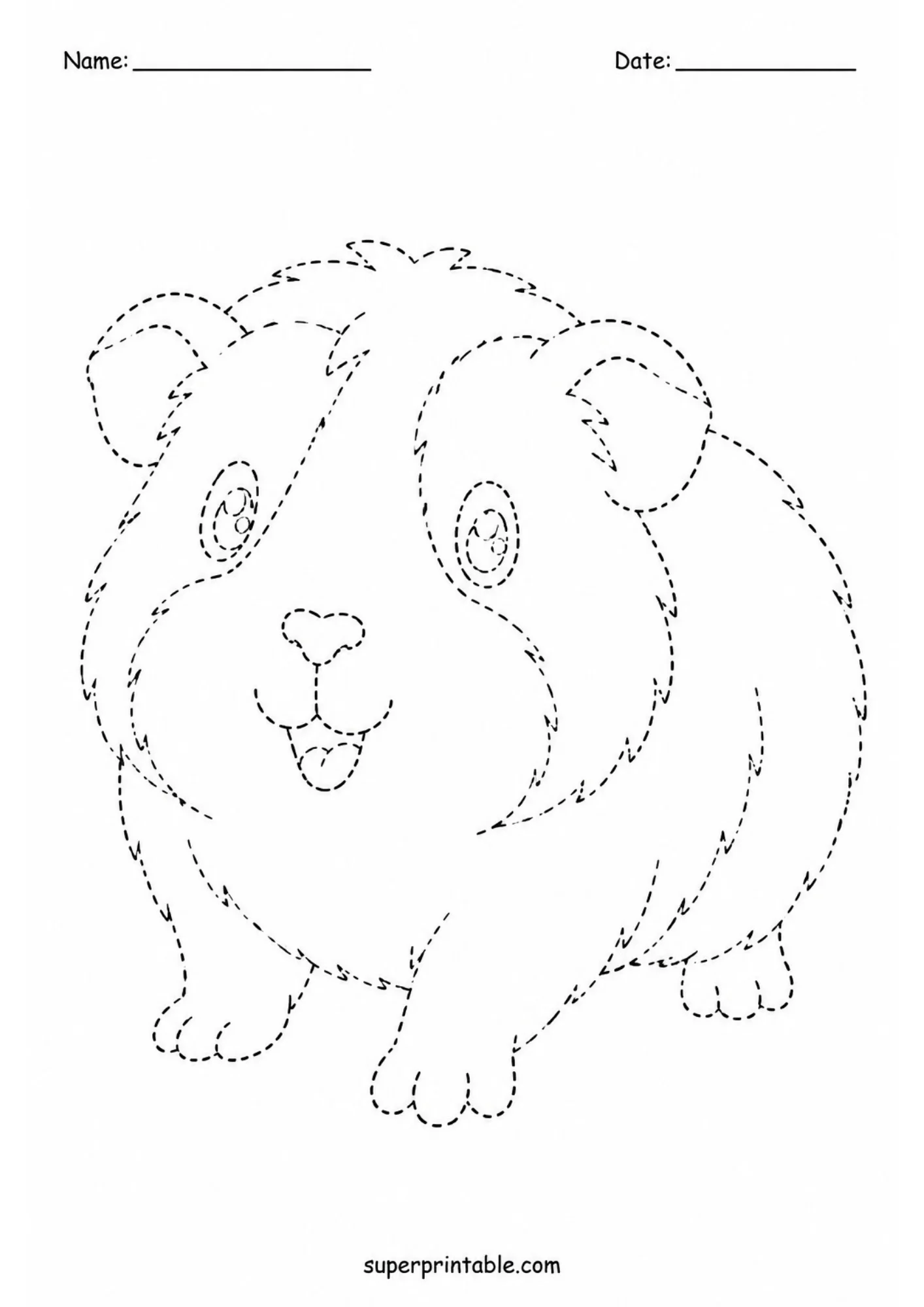 Black and white line art tracing printable depicting a chubby smiling guinea pig with fluffy patches, round ears, shiny eyes, dashed outline paths, and top name and date header lines.