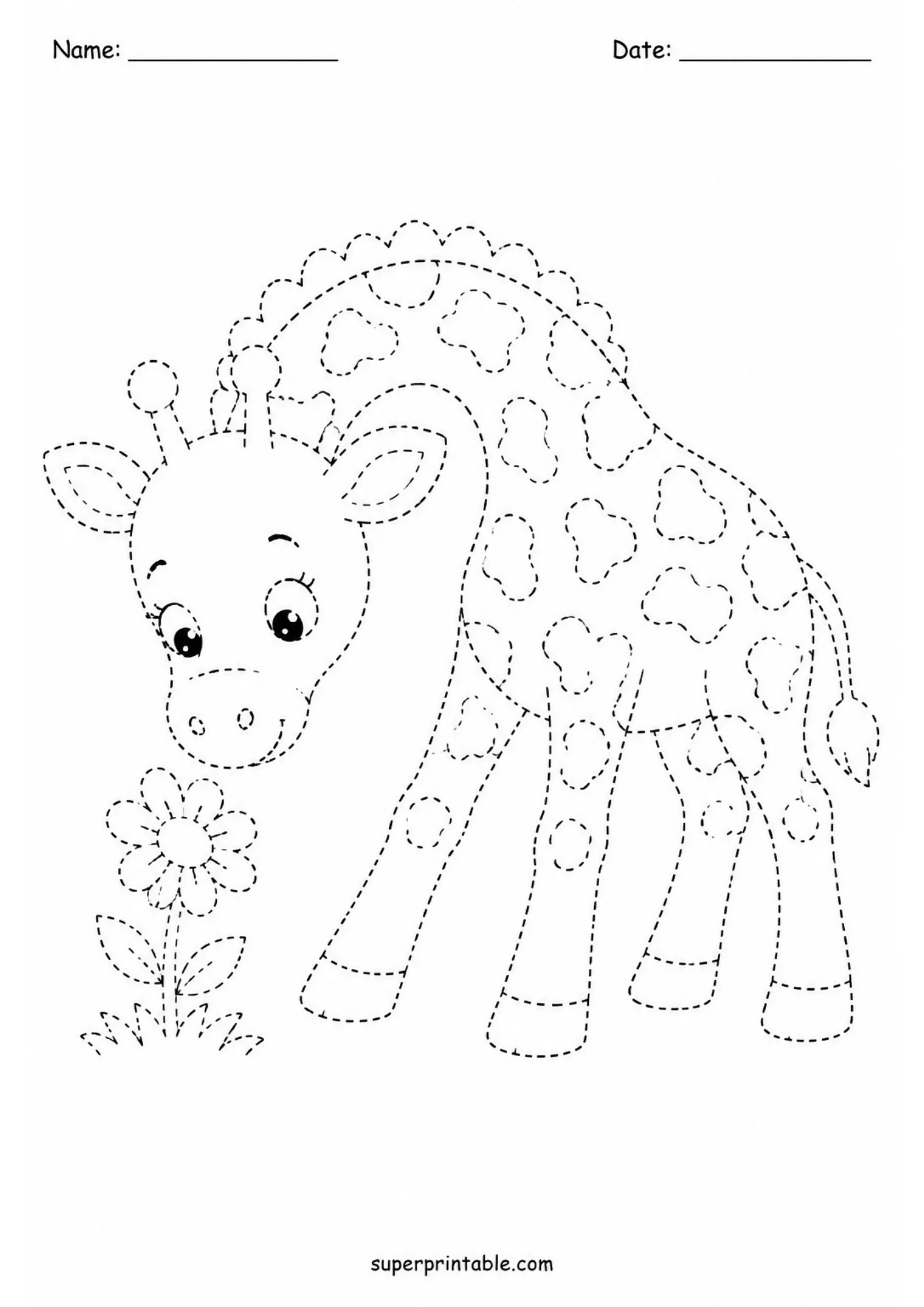 Black dashed line tracing sheet showing a baby giraffe calf bending its neck to smell a daisy flower with leaves in grass with top Name and Date header lines.