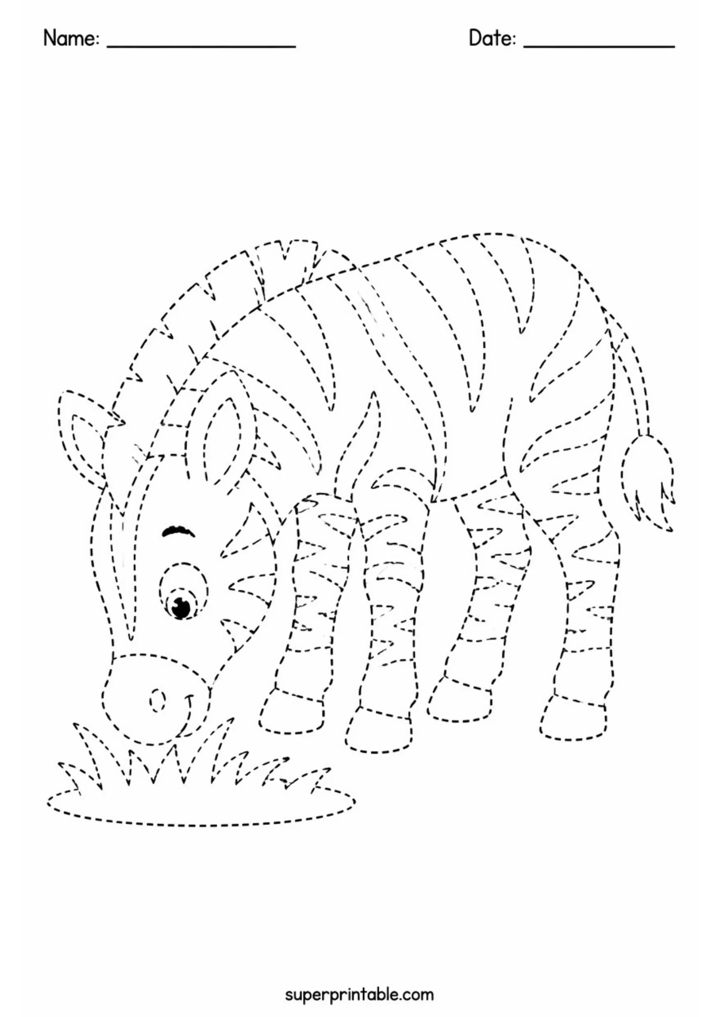Printable line tracing sheet showing a young zebra foal bending head down to graze grass, rendered with dashed outlines for pencil tracing practice.