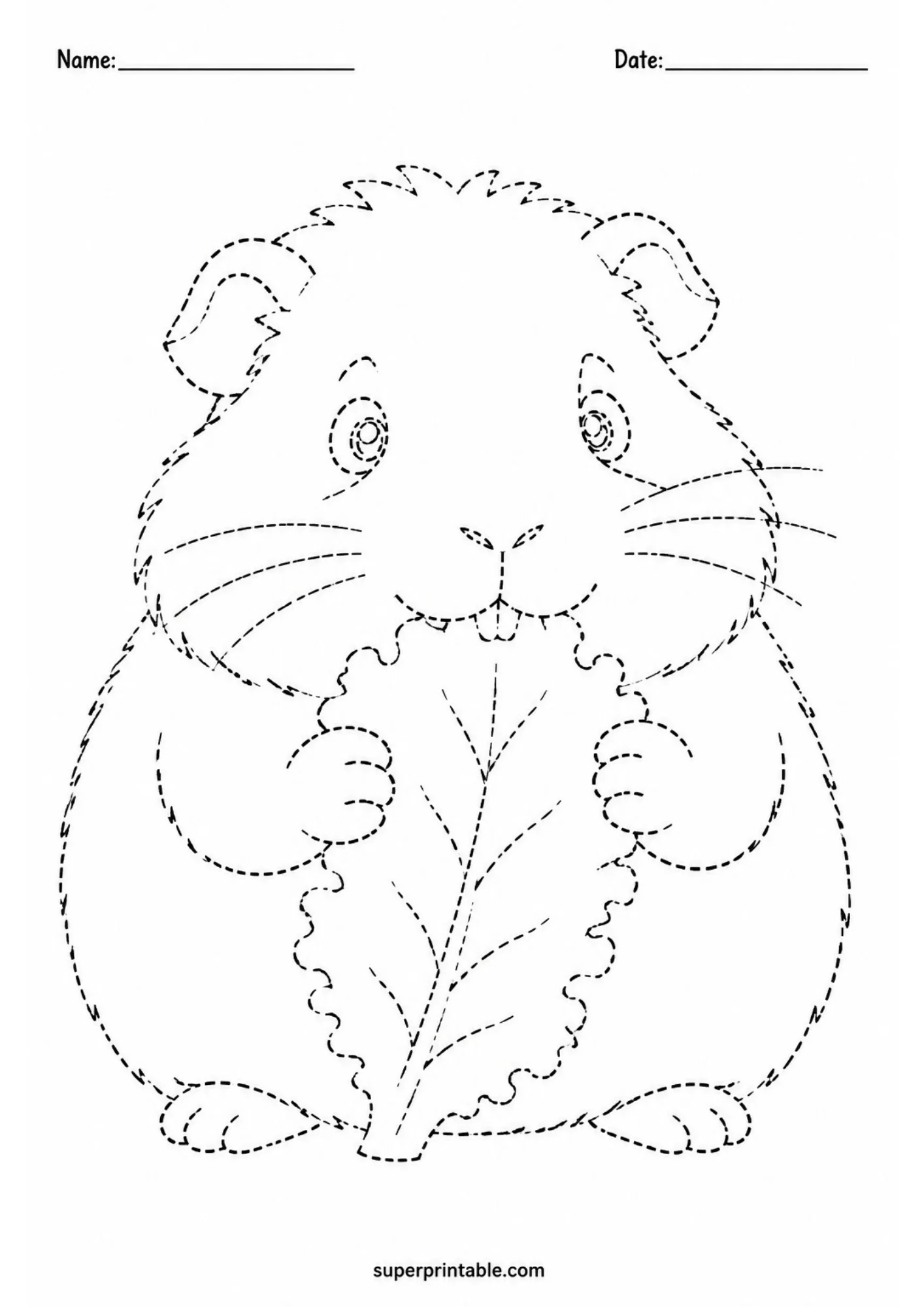 Black and white printable tracing activity page showing a chubby guinea pig nibbling a large crisp lettuce leaf with front paws, dashed line art outlines, and top name and date header lines.