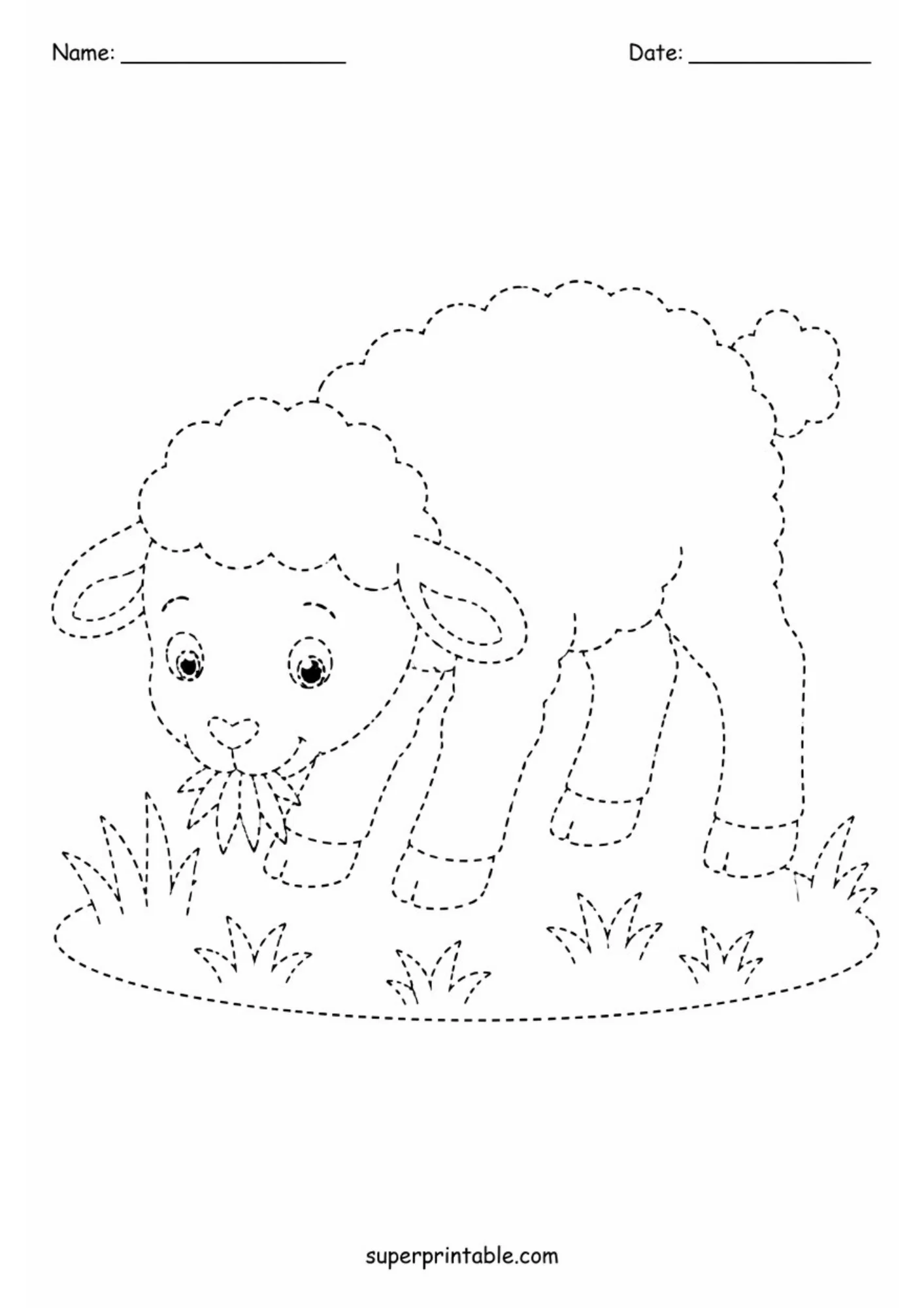 A printable dashed outline page of a cute woolly lamb bending down to chew grass blades on a small patch of lawn.