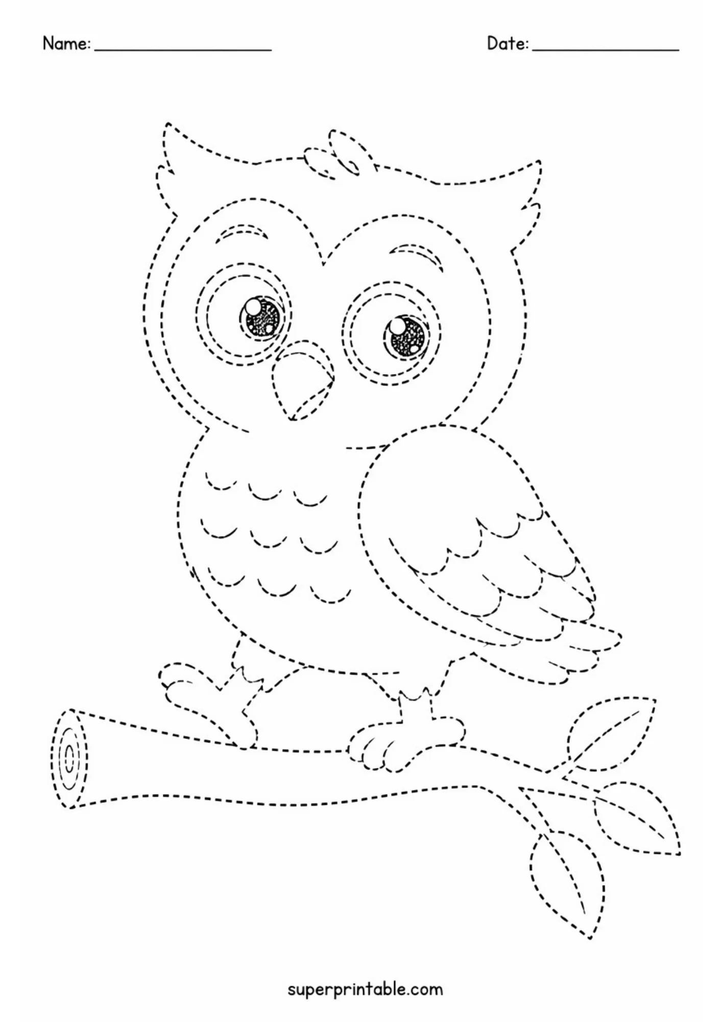 Line tracing worksheet depicting a cute young owl perched on a tree branch, featuring large round sparkling eyes, layered wing feathers, and dashed outlines.