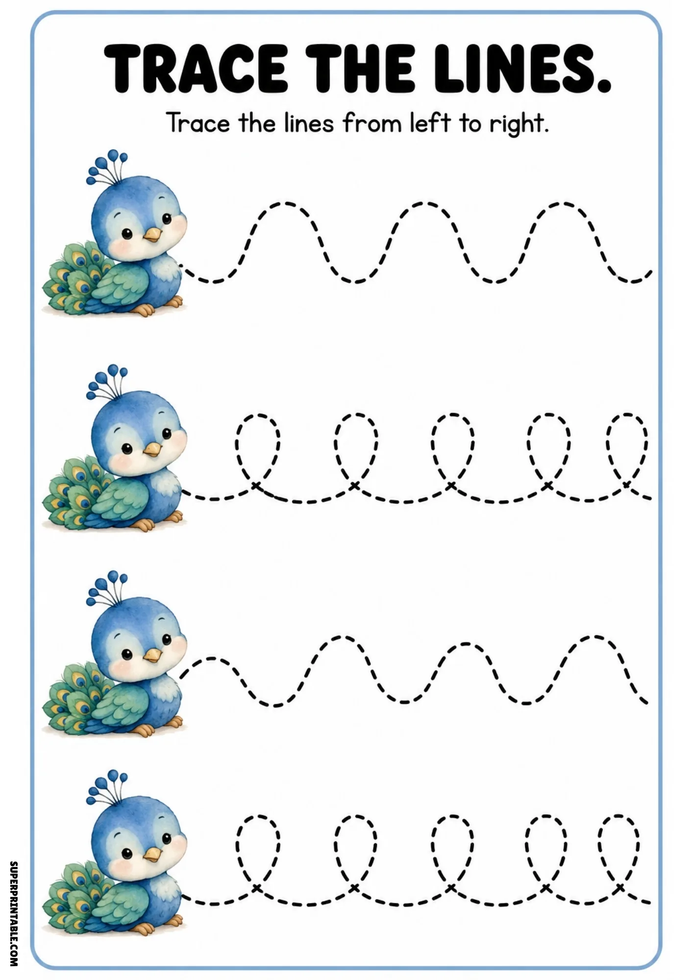 Peacock line tracing activity worksheet showing blue peacocks with alternating arch and loop dashed lines.