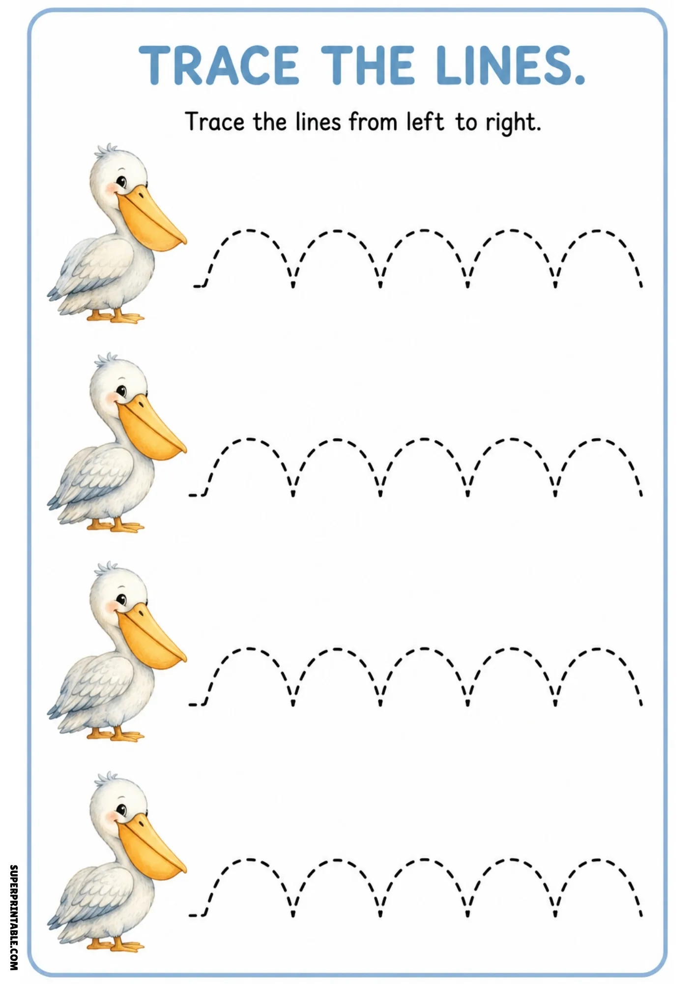 Pelican line tracing page with four white pelicans and rows of high arching dashed lines.