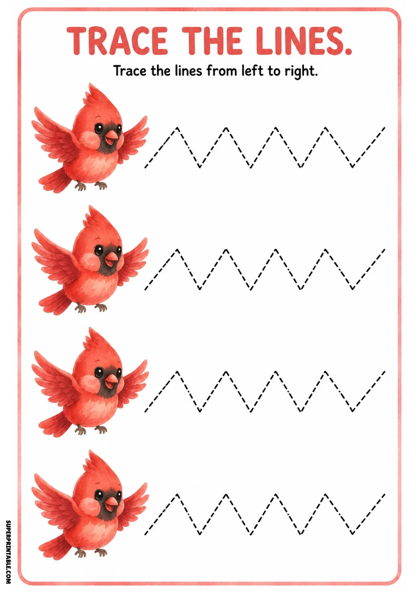 Watercolor tracing worksheet with four bright red northern cardinals in flight and zigzag dashed lines.