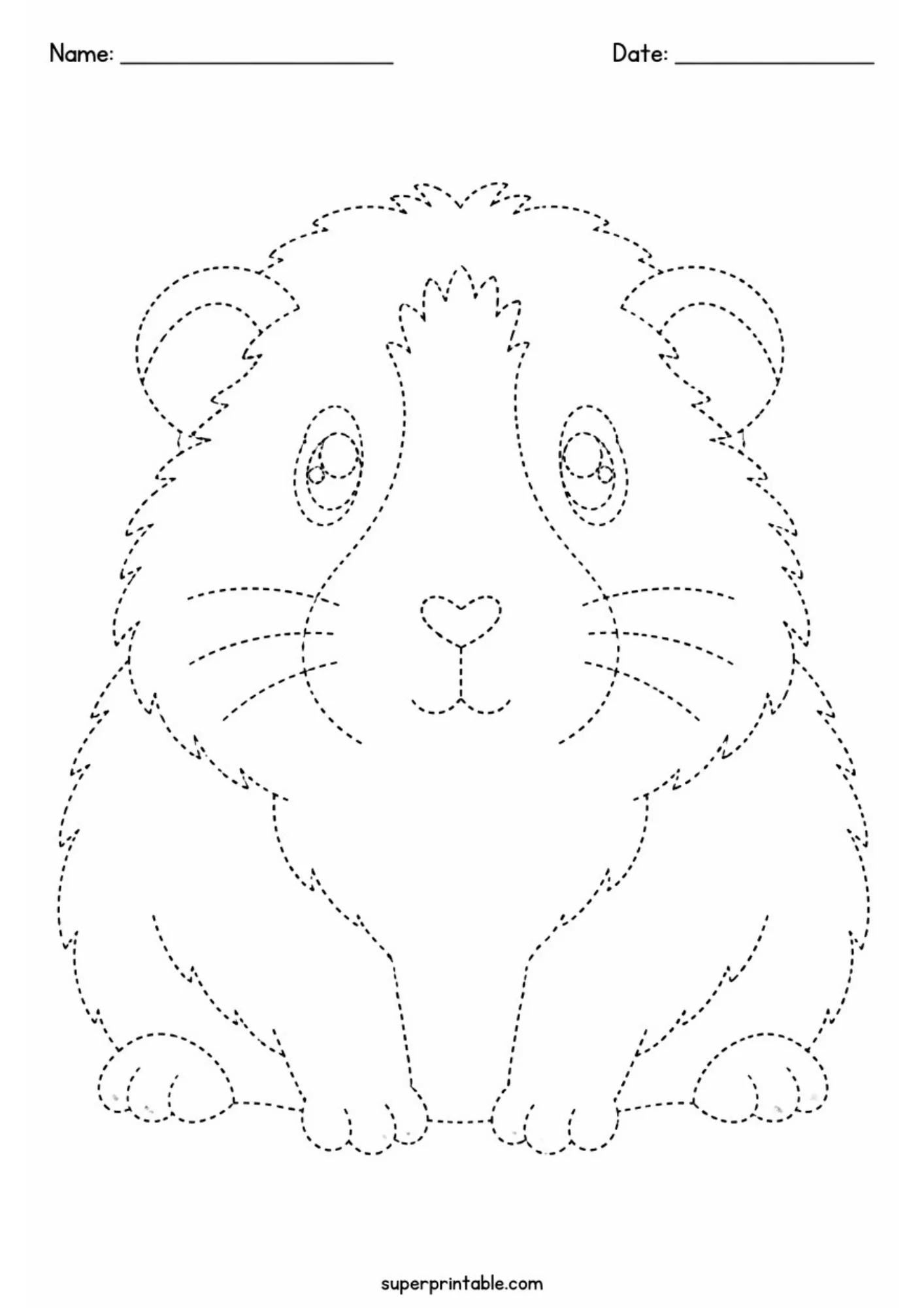 Black and white printable line art worksheet displaying a front-facing sitting guinea pig with central fur blaze pattern, whiskers, dashed outline paths, and top name and date header lines.