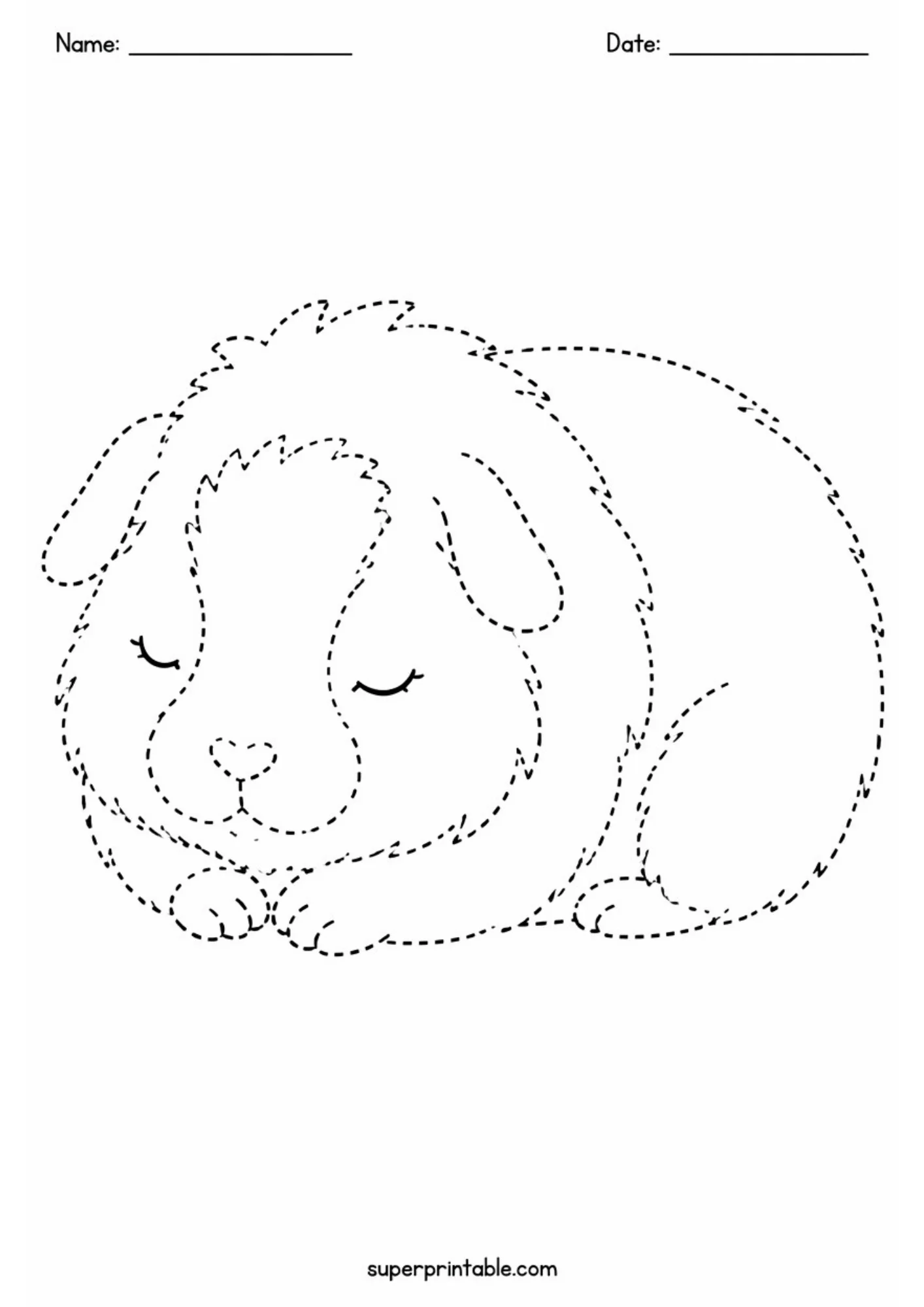 Black line art educational tracing page showing a peaceful sleeping guinea pig curled up in a ball with closed eyes, dashed body outlines, and top name and date header lines.
