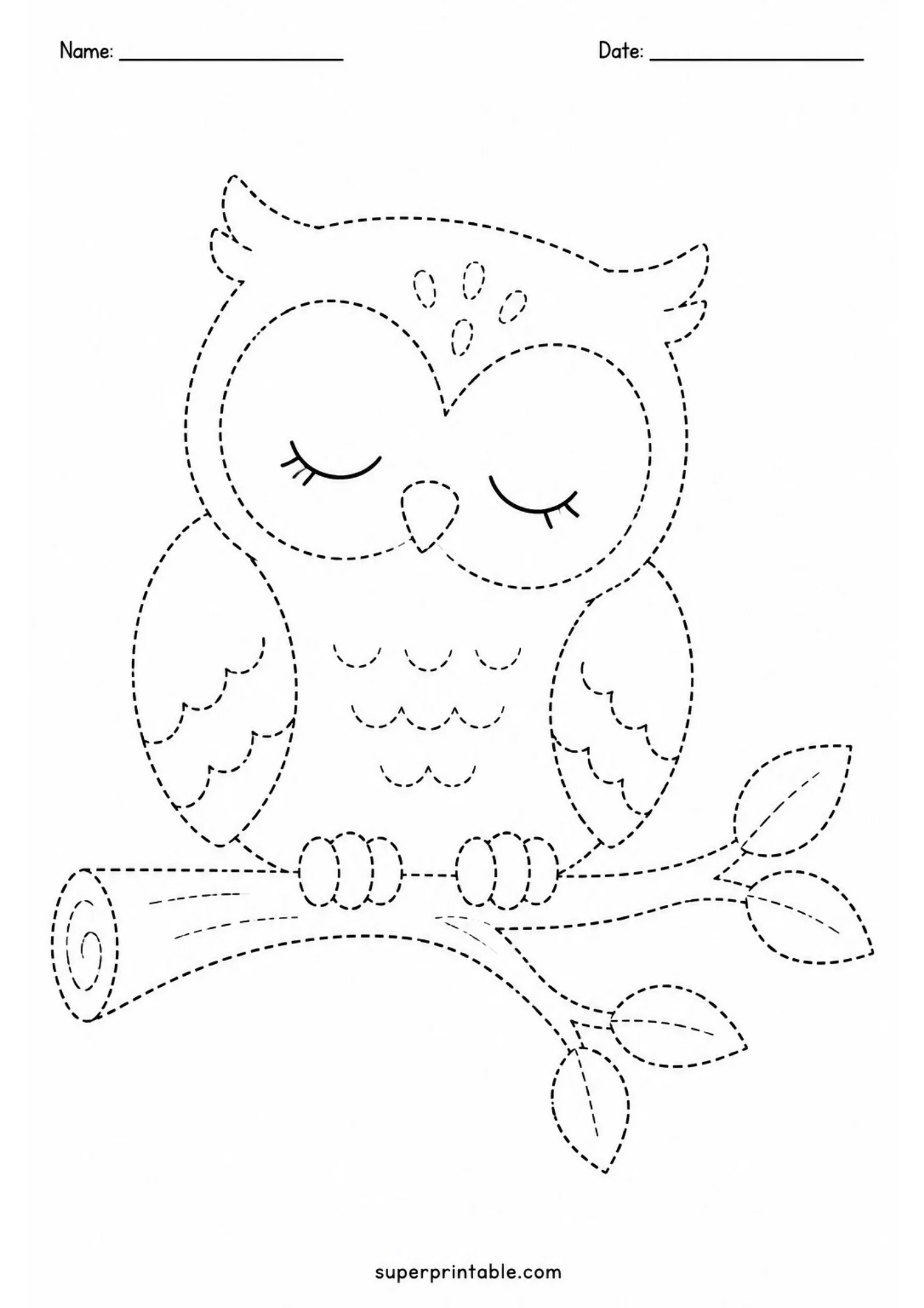 Preschool tracing page featuring a peaceful sleeping owl with closed eyes and eyelashes, perched quietly on a curved wooden branch with leaves.