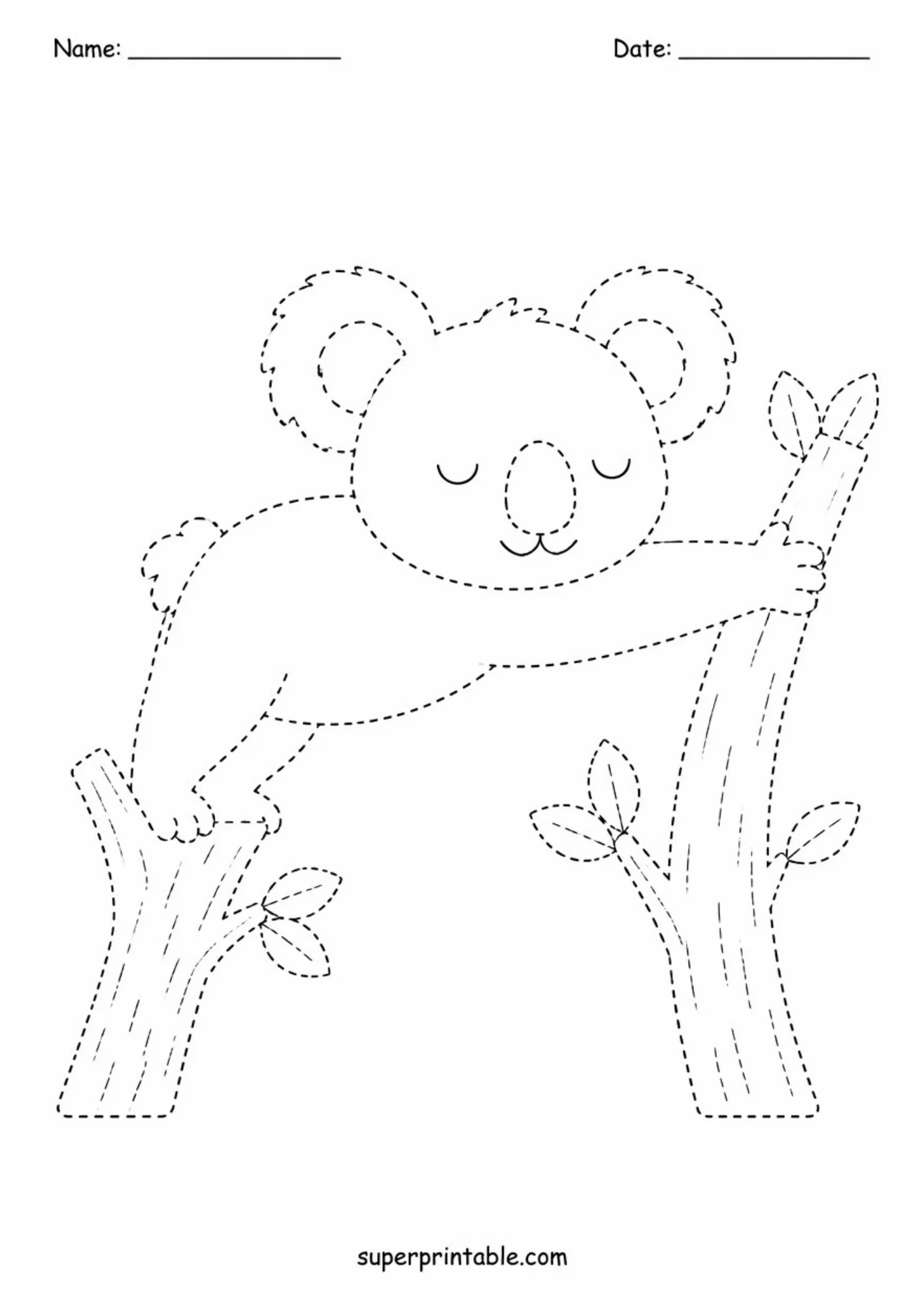 Black line art tracing worksheet featuring a sleeping koala stretching across two vertical tree branches with small eucalyptus leaves.